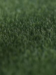 ＜1202＞  Australia Lanolin 90g Moisturizing Cream Autumn and Winter Moisture Replenishment Skin Care Cream fda Cosmetics Factory in Stock