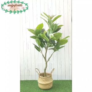 Pohon Hias Pohon Imitasi Daun Magnolia Latex Cover Purun Belly Hiasan Sudut Ruang