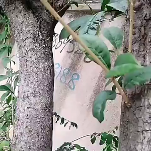 Tali Jemuran Baju Nylon 10m Kuat Anti Slip / Tali Nilon Tali Tambang Ikat Barang Kemah Camping