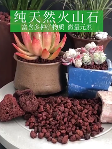 2.5KG Porous Volcanic Rock for Curated Plants Red Lava Rocks Succulents and Ornamental Plants Aquarium Pond Filter Media