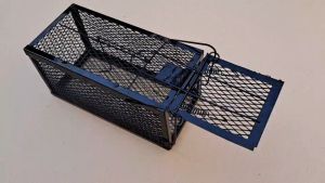 กรงดักหนู (ราคาต่อ 1 ตัว) ขนาด13x28x14cm กรงดักพังพอน กระรอก สัตวไม่ตาย ไม่ทรมานสัตว์ แบบสปริง วัสดุเหล็ก แข็งแรง สินค้ามาตรฐานโรงงานขายเอง