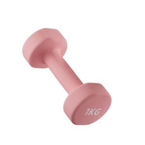 AONFIT | Chuẩn Bị Thi Chứng Chỉ Dumbbell Thể Hình Cho Giới Trẻ