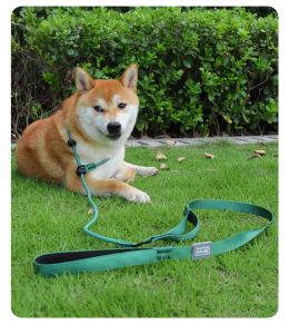 No-Pull Slip Lead Dog Leash - 170cm Anti-Choke Training Leash with Comfortable 6mm Rope Durable No-Hook Design for Walking & Obedience Training (1pc)