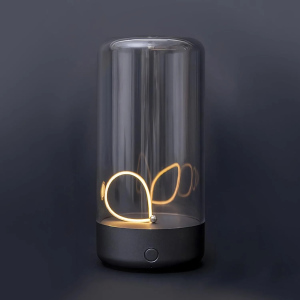 Newly Upgraded Quantum Wire Environmental Magnetic Field Lamp Type-C Charging Eye Protection Function Christmas Gift for Bedroo