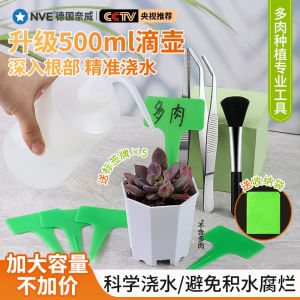 Complete Set of Succulent Planting Tools Small Shovel Plant Care Gardening Storage Flower Watering Tool Garden Care Equipment