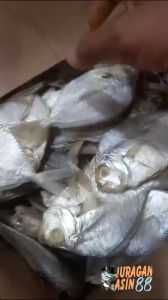 Ikan Asin Petek Super & Dokdok Gurih 1kg: Makanan Ringan Terlaris