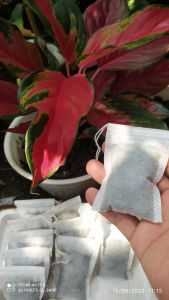 pupuk bantal untuk tanaman hias / pcs 75.gram