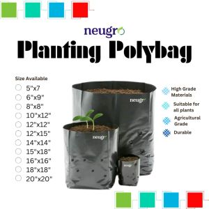 Neugro Beg Poly UV Fertigasi/ Polybeg Tebal UV Protection Polybag Nursery Plantation Fertigation Poly Bag Polibag 灌溉施肥 农业种植袋