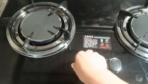 Double infrared stainless steel gas stove tempered glass gas stove