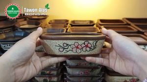 Pot Bonsai Keramik Mame Semi Oval - MOTIF 1