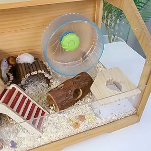 🇸🇬 Wooden Small Animal Activity Playground  Hamster Toy