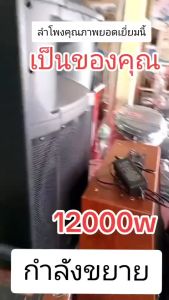 ลำโพงตั้งพื้น ลำโพงขนาด 12 นิ้ว 100W RMS เบสแน่นๆ SKG รุ่น AV-8113 สีดำ ขายเป็นคู่ ซ้าย-ขวา #ร้านมาร์ยอง