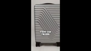 Travel Star TNL006 Elegant Hard Case Luggage Set Suitcase Set Bagasi (20 inch+24 inch)