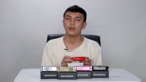 2021 New Model Harmonika 10 lubang nada Import P14