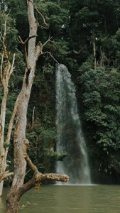 Reckless Tripwear Cap - Trucker Cap - Cotton Khaki Fabric Breathable Mesh Panel Heat Transfer Logo