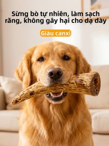 hipidog | Xương Gặm Răng Cho Chó Bổ Dưỡng Bổ Sung Canxi