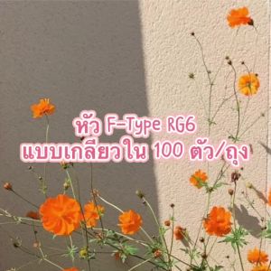 หัวF-Type RG6 แบบเกลียวใน100ตัว/ถุง