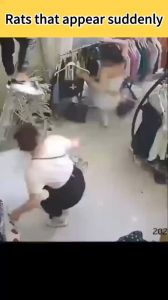 Valid for 90 days Rat Repellent Gel rodent repellent Mouse Repeller Powerful rat Repeller gel penghalau tikus Berkesan Rat repellent cream Safe and non-toxic for home and outdoor use rat killer Harmless to cats and dogs No mice within 100 meters避鼠凝胶膏