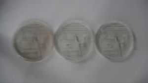 ชุดคุ้ม 5kg น้ำยาเรซิ่นหล่อใสพิเศษ R867 & ใสประหยัด R866 ผสมตัวม่วงแล้ว รวมตัวทำแข็งพร้อมใช้ Resin เนื้อเรซิ่นเยอะงานสวยไม่แตกง่าย ส่งไว เรซิ่นใส R867 เรซิ่นใสพิเศษ R867 - Lazada