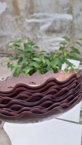 murah 1losin piring serbaguna/piring plastik/piring/wadah makanan