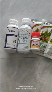 Bộ tạo mầm sầu riêng lần 1 pha 200l nước-Chuyên xử lý nghịch vụ miền tây mùa thuận miền Đông