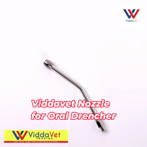 Drench syringe nozzle Oral drencher Stainless steel Oral drencher nozzle for piglets feeder accessories Stainless oral