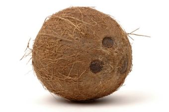 รูปจากผู้ขายบน Lazada: Dried Whole Coconut Shells, No Water, for Various Crafts. 1 Set Has 5 Pieces, 90 Baht. ตั้งราคา ฿90 ขายแล้ว 64 ชิ้น