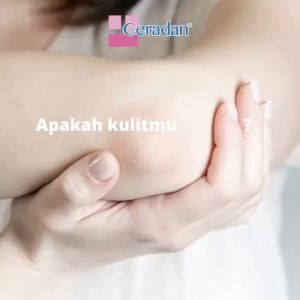 CERADAN Hydra Moisturizer 80gr 150gr / Krim Pelembab Kulit Bayi / BANDUNG