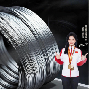 Galvanized Rustproof Wire for Gardening
