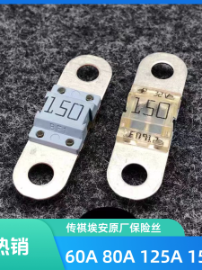 Guangzhou Automobile Parts G3 G4 G8 Gs3 Gs4 Gs5 Gs7 Gs8 Gm6 Gm8 Fuse 60 80 125 150A Replacement Auto Car Electrical System
