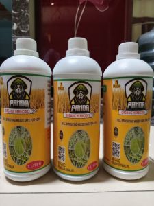 Kill grass panda bubuk pembasmi gulma semua jenis tanaman bambu dan pohon isi 1000mg beli 3 gratis1