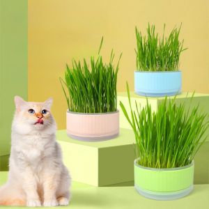 Cat Plant Planter Cat Plant for Pet Convenient Cat Planter Cat Plant Pot The Lazy Plastic Cat Grass cup Without seeds