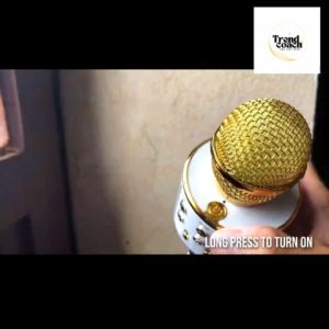 WS-858 - Wireless Bluetooth Microphone & Karaoke Hi-Fi Speaker | Karaoke Hi-Fi Speaker Hand Live Universal High-Quality