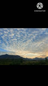 [Hot ] Thùng Rác Thông Minh 13L/16L Thùng Đựng Đồ Cảm Ứng Công Nghệ Cao Thùng Rác Chống Nước Khử Mùi Phòng Tắm