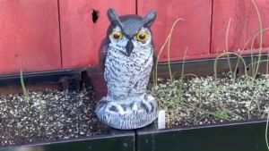 Owl Bird Deterrent Garden Plastic Owls to Keep Birds Away Waterproof Sunscreen Owl to Scare Birds Away Fake Owl for Birds