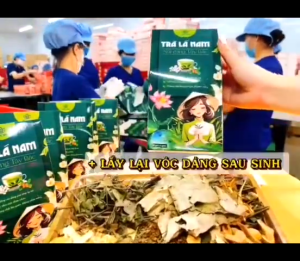 Trà Lá Nam 10 Vị Giảm Cân Giảm Mỡ Bụng Thải Độc Gan Thanh Lọc Cơ Thể Đẹp Da Hộp 60 Túi lọc.