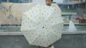 Ô dù tự động họa tiết sushi dễ thương BAG U OSUSHI158