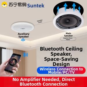 SAST | SAST G3 Wireless Bluetooth Ceiling Speaker Home Cinema Dedicated Inverted Mounted Loudspeaker 310 High Power Dual Driver
