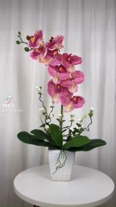 Hoa giả chậu lan hồ điệp chất liệu cao su mềm mại y như thật cao 60cm trang trí kệ tủ bàn làm việc bàn phòng khách