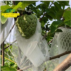 100 cái 20x25cm TÚI LƯỚI TỐT BAO BỌC TRÁI CAM LÊ NA VÚ SỮA.... - TÚI BAO TRÁI CÂY