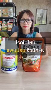 พืชใบไหม้ จากเชื้อราโรคพืช ใช้แพนน่อน (แมนโคเซบ) และเพิ่มประสิทธิภาพในการดูดซึมตัวยา ฮิวมิค FK