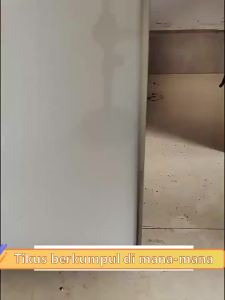 10PCS Papan Super Lengket Penangkap Hama Pengusir Kecoa Cicak Mouse Glue Trap Lem Perangkap Tikus