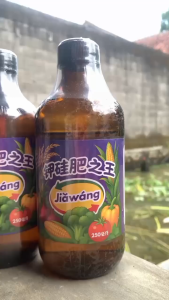 JIAWANG Rajanya Pupuk Kalium dan Silika Murni Untuk Menambah Bobot Buah dan Anakan Produktif