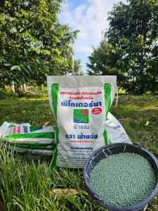 พีโคเดอร์มา ไตรโคเดอร์มาอัดเม็ด ตราฟ้าแจ่ม (ถุงละ 5 กิโลกรัม จำนวน 1 ถุง) ใช้ป้องกัน รักษาเชื้อราโรคพืชทางดิน