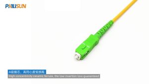 SC/APC to SC/APC OS2 9/125 μm Simplex Fiber Optic Patch Cord 3.0 mm LSZH 1-20 m 1 or 5 Cables PHILISUN