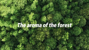 40 Sheets Laundry Sheets Laundry Paper Travel Laundry Detergent Sheet