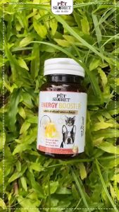 สำหรับสัตว์เลี้ยง: ผลิตภัณฑ์เสริมสร้างความแข็งแรง Energy Booster บำรุงกระดูก ของพื้นที่เสริมสร้างภูมิคุ้มกัน และส่งผลต่อมาด้วยเม็ด