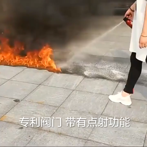 ình cứu hỏa mini 600ML cho ô tô bình chữa cháy cầm tay tiện lợi bình cứu hỏa mini nhỏ gọn dễ dùng