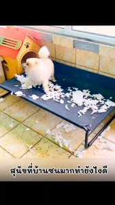 300g ขนมสัตว์เลี้ยง ขนมขัดฟัน อกไก่พันหนังวัว ขนมขบเขี้ยวสำหรับสุนัข