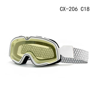 TAODUN | Windproof Motorcycle Goggles for Helmet Use Day and Night Vision